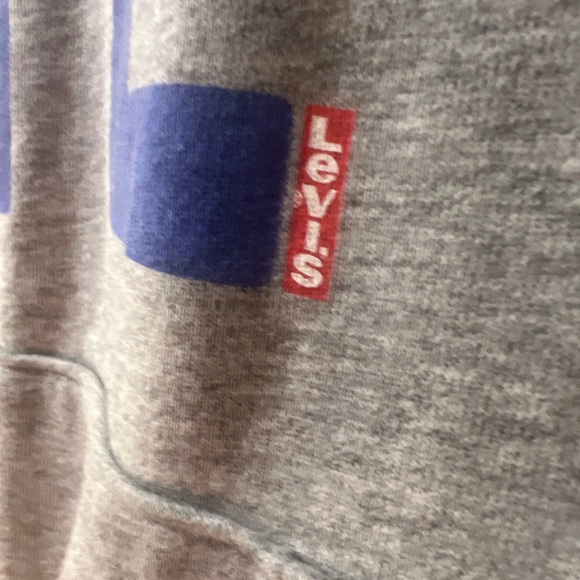 Levi's Vote Relaxed Graphic Hoodie, Wash Gray Heather, Small - Picture 6 of 13